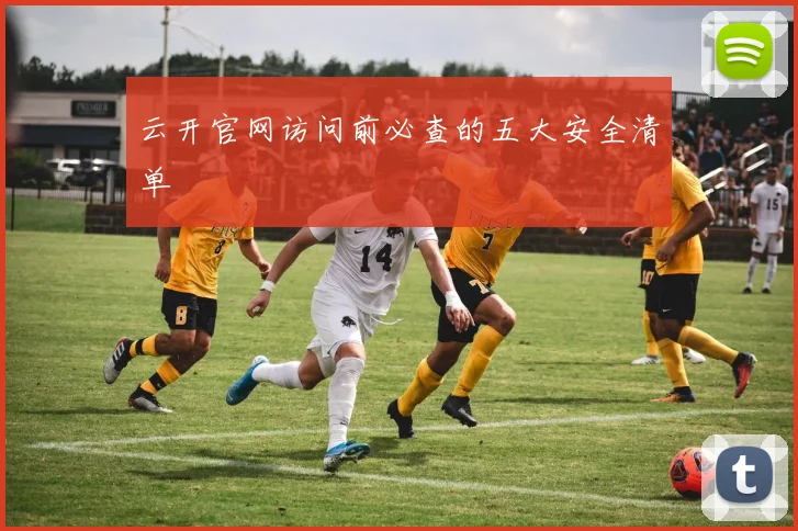 云开官网访问前必查的五大安全清单